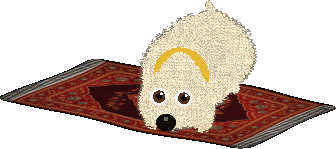 Dog on cozy mat