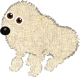 Sitting dog