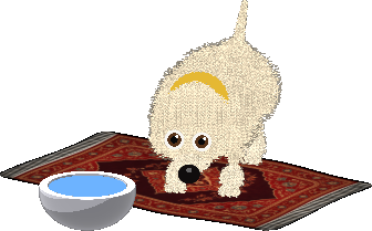 Dog eating from bowls